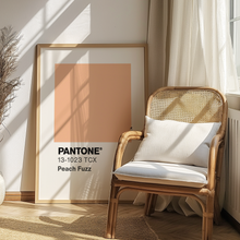Load image into Gallery viewer, Pantone Peach Fuzz
