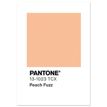 Load image into Gallery viewer, 256c4b49-8883-4b8e-ae4d-46e680646525
