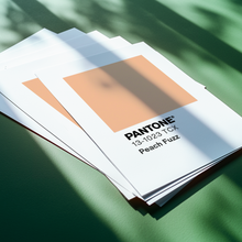 Load image into Gallery viewer, Pantone Peach Fuzz
