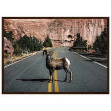 Load image into Gallery viewer, 2b9af719-db7d-408e-a197-37a3f5e9106a
