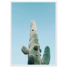 Load image into Gallery viewer, 3ef5e1e5-fae3-4fdd-80f1-4e114a0c7f50
