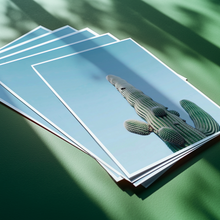 Load image into Gallery viewer, Cactus
