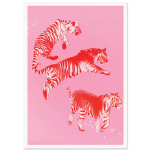 Load image into Gallery viewer, 56ccba97-fd50-4cbe-b81e-4a208e0f5d00
