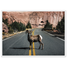 Load image into Gallery viewer, 68109462-f408-402e-86f5-e8bf975e28c6
