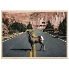 Load image into Gallery viewer, aa684ac4-92c1-4f2a-93af-b3d7886ab9f9
