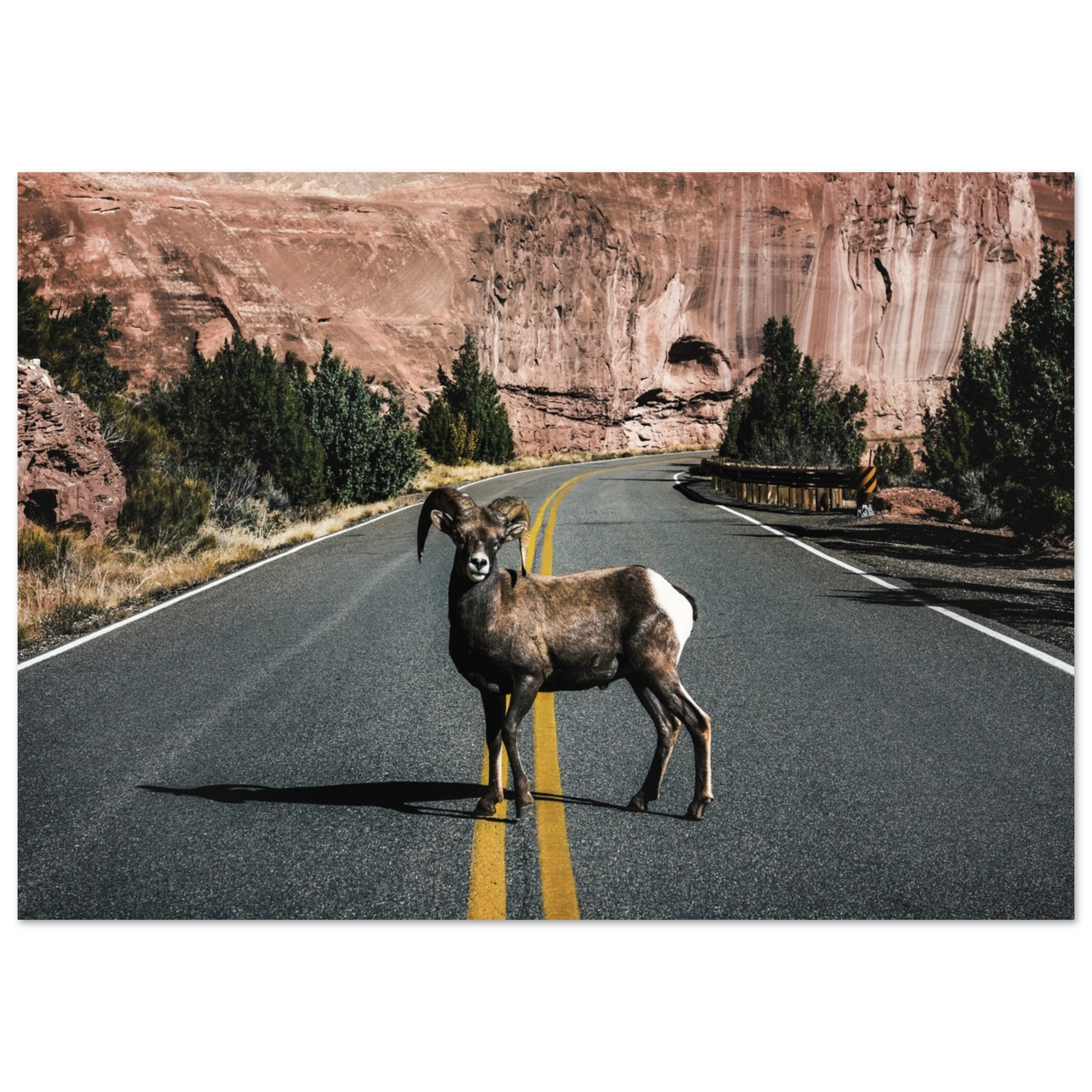 ccb31a6c-45ba-451d-9b15-c43c1e403c87