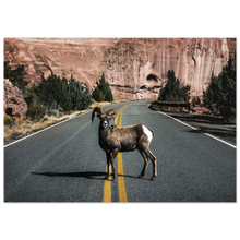 Load image into Gallery viewer, ccb31a6c-45ba-451d-9b15-c43c1e403c87
