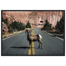 Load image into Gallery viewer, e363101b-d5d9-46ac-ab5a-e267db0f114f
